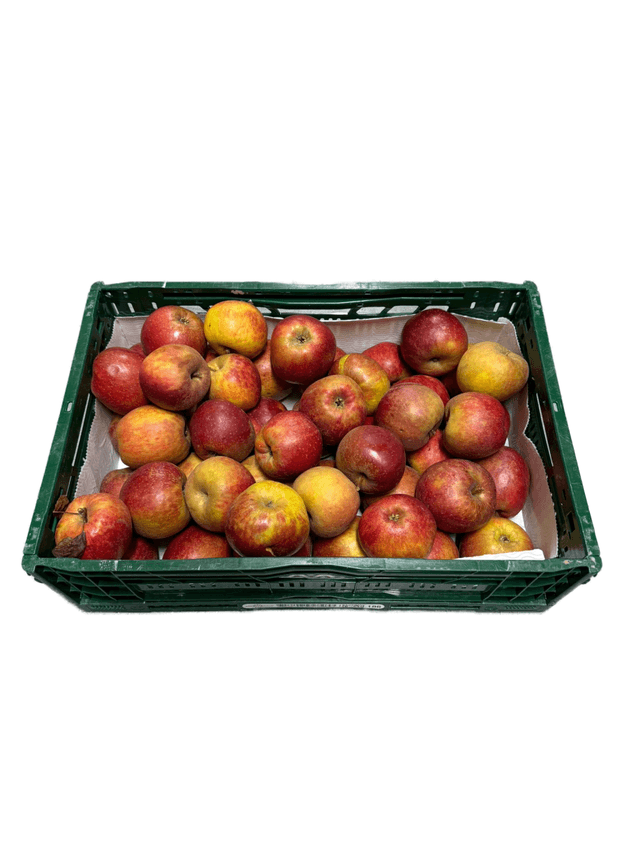 Goudreinet appels per kist (11kg)