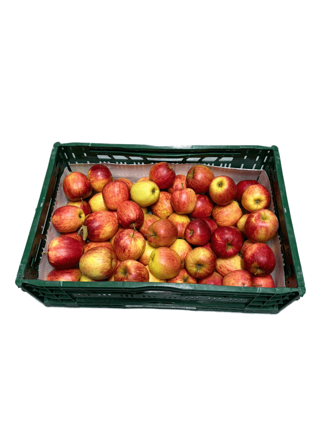 Jonagold appels per KIST (11kg)