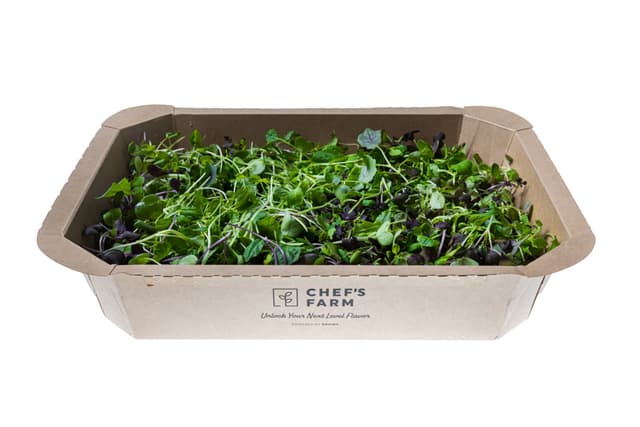 Micro groente Herbal Salad mix  150 gram 