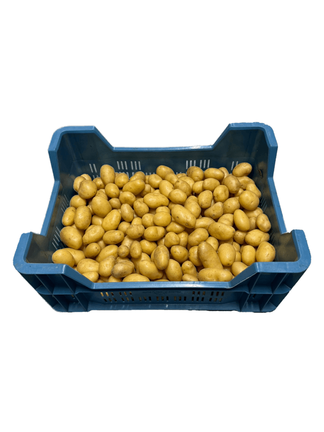 kriel aardappelen per kist 5 kg.
