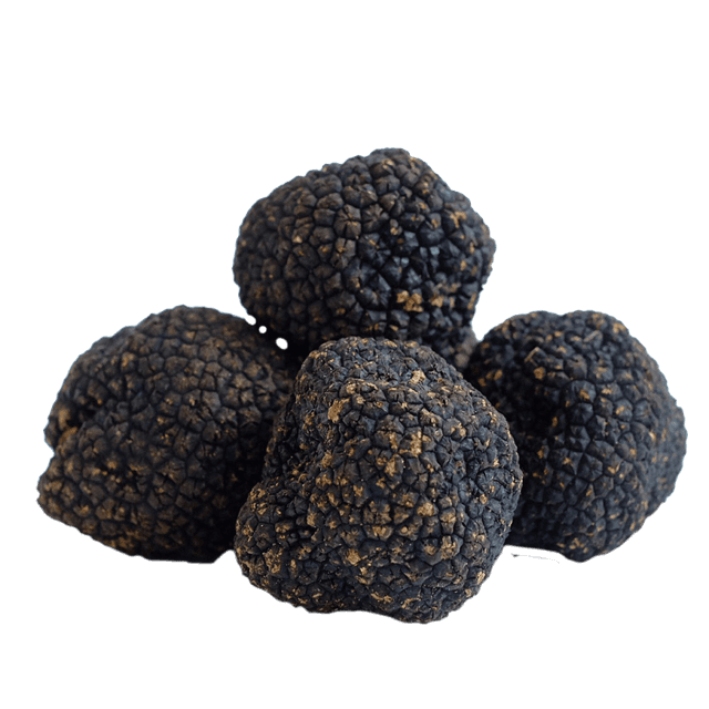Winter truffel per kg.