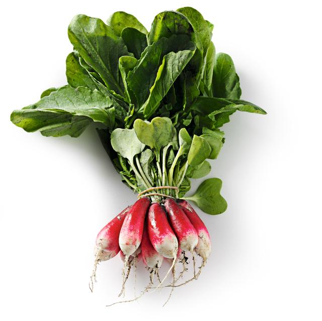 Witte punt Radijs per bos