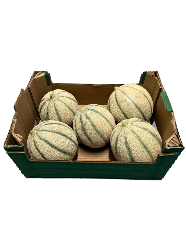 Cantaloupe meloen per doos 6 stuks