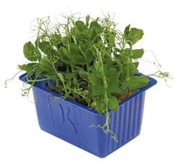 image-thumb