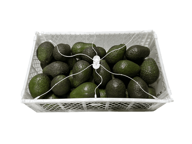 Avocado HAS per 10kg