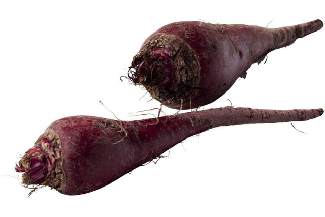 Oerbieten (crapaudines) per kilo