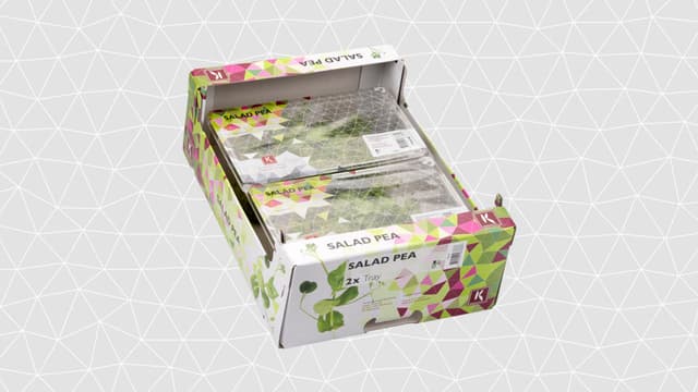 Salad Pea per doos 2x110 gram
