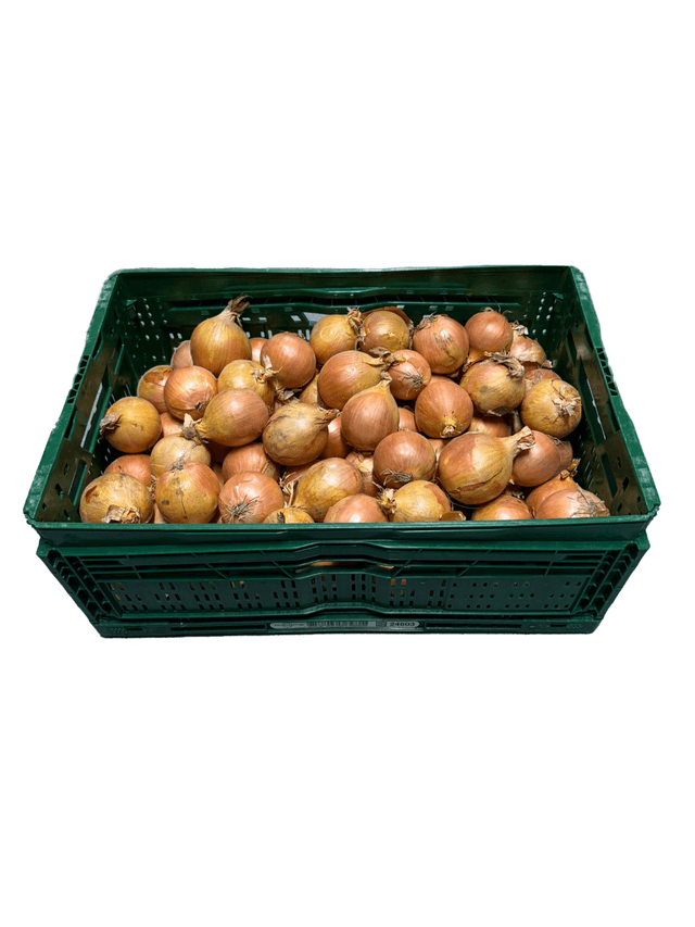 Uien per kist 20 kilo