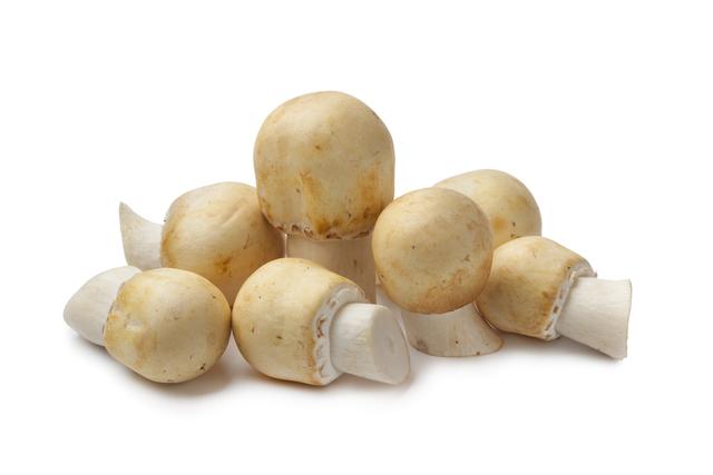 Akkerpaddenstoel per 500 gram bak