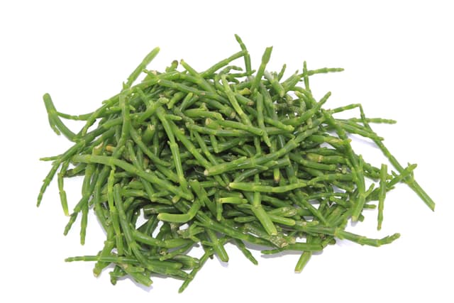 Zeekraal Frankrijk per kilo