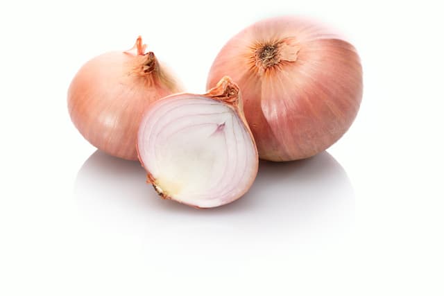 Roscoff uien per kilo