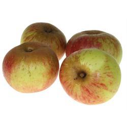 Dijkmanszoet appels per kilo