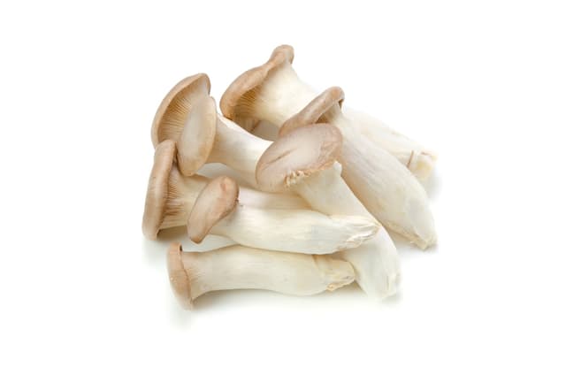 King Bolete per kist (1 kilo)