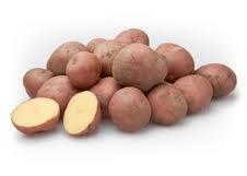 Bildtstar aardappel per 2,5 kilo