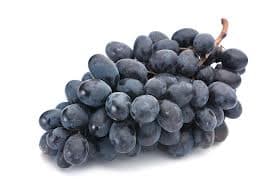 Blauwe druiven GEPLUKT per kilo