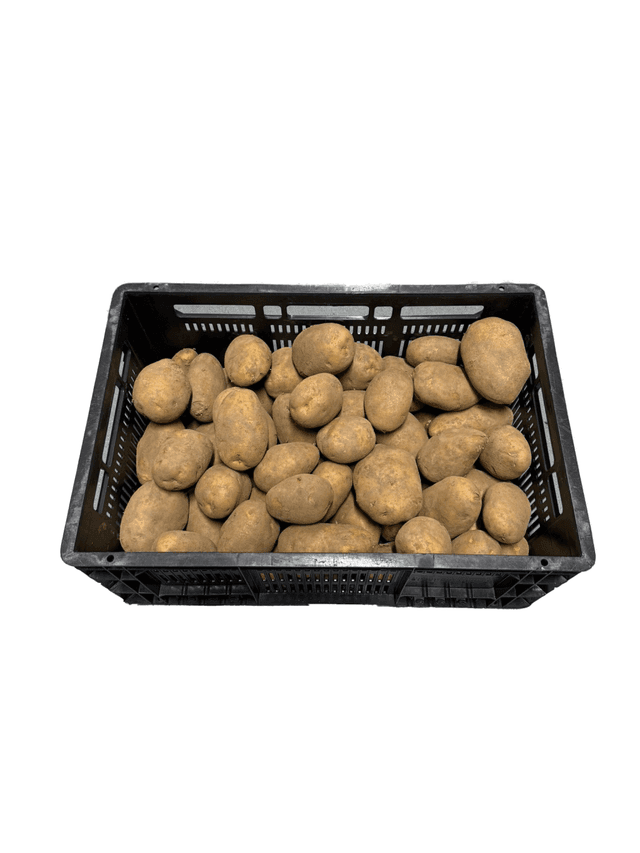 Aardappel bonken vuil per kist 20 k