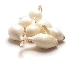 Verse zilveruien per kilo