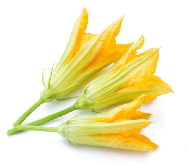 Courgettebloem per stuk