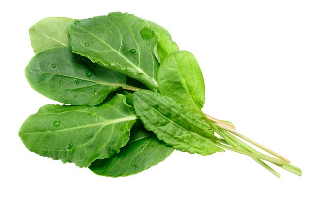 Zuring per bos (75 gram)