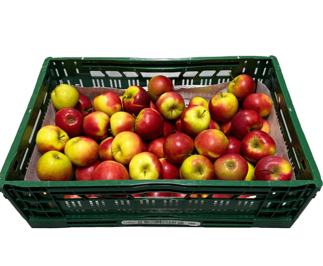 Elstar appels per kist 11 kilo