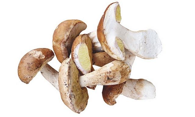 Eekhoorntjesbrood per kg