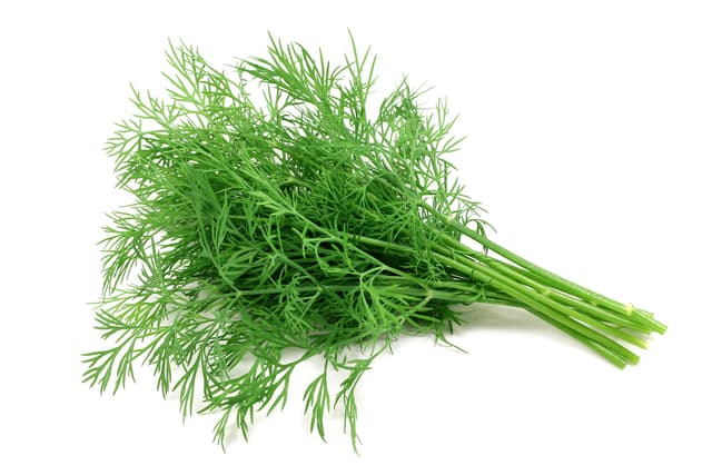 Dille per bos (75 gram)