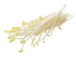 Asperge scheut per bakje 100 gram