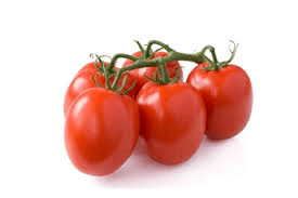 Pomodori tomaat per kilo