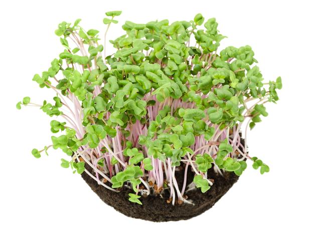 China Rose per bakje (100 gram)