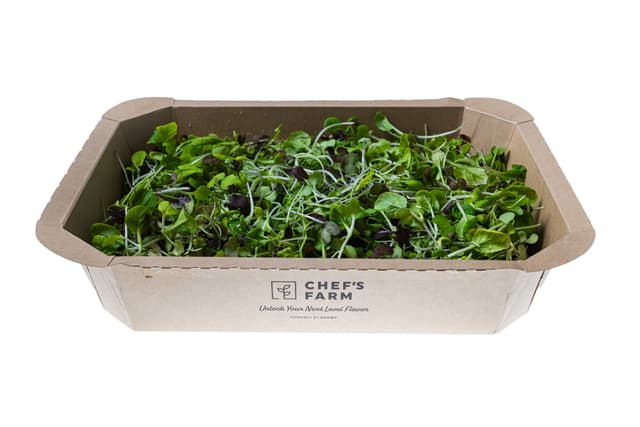 Micro groente Bright and Spicy 150 gram 