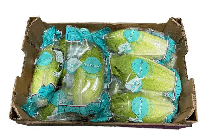 Romaine sla per kist