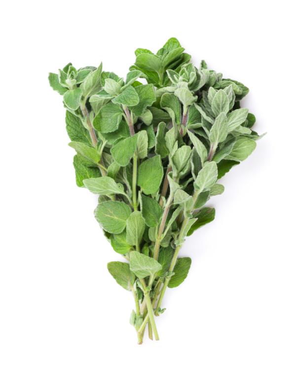 Oregano per bos (75 gram)