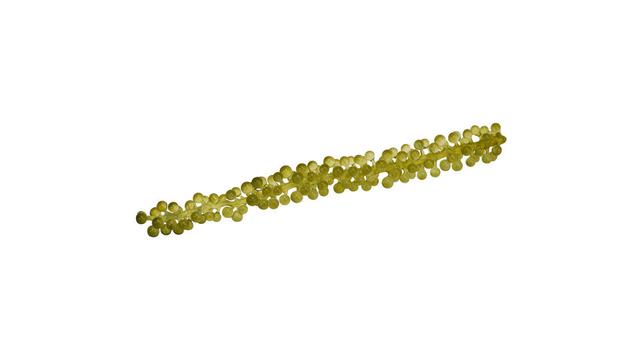 Moai Caviar per doos 30 stuks