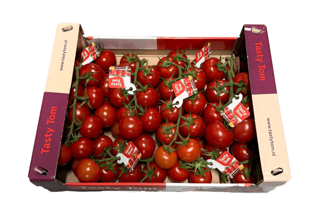 Tasty Tom tomaten kist 3,7 kilo