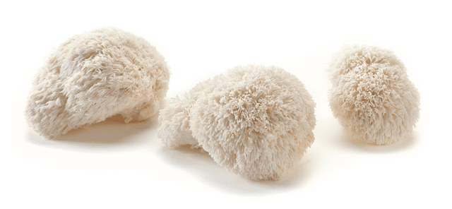 Pompom blanc per kist 1 kg.