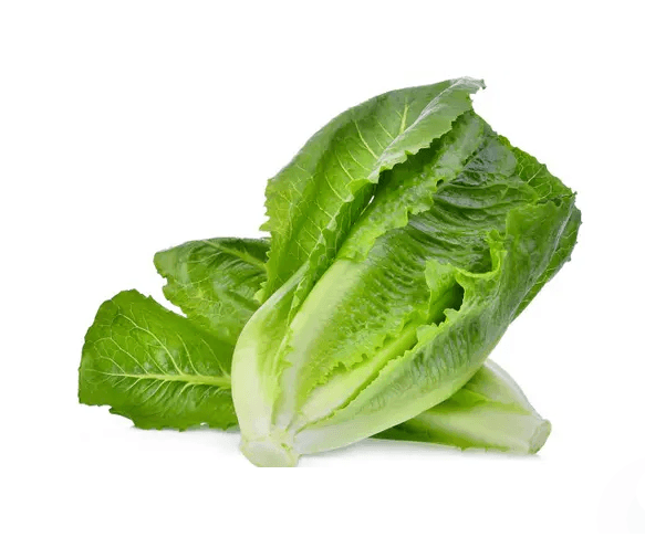 Romaine sla per stuk