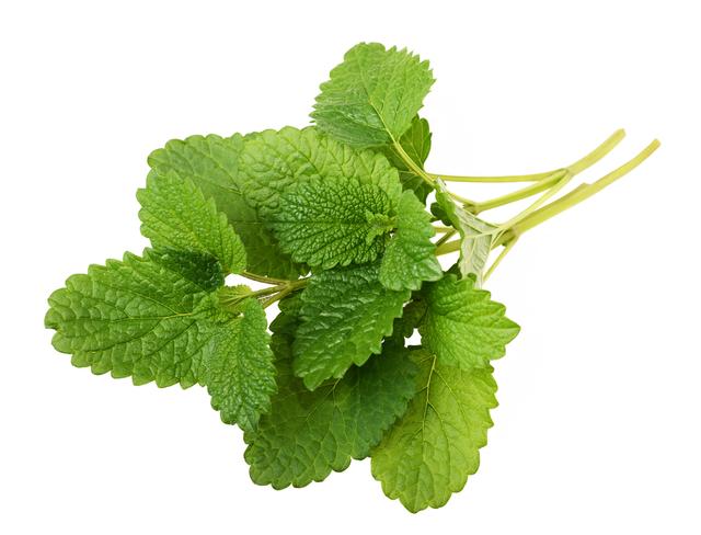 Citroenmelisse per bos (75 gram)