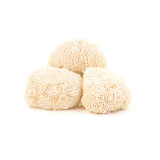 Pompom blanc per kist