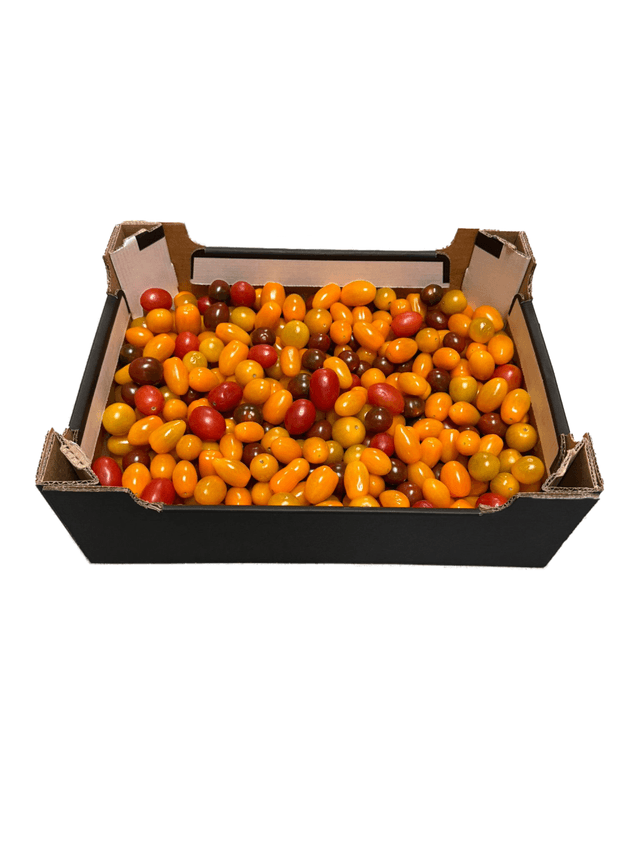 Mini Pomodori mix kist van 4 kilo