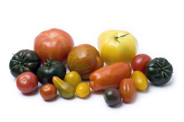 Inca tomaten mix per kist 3,7 kilo