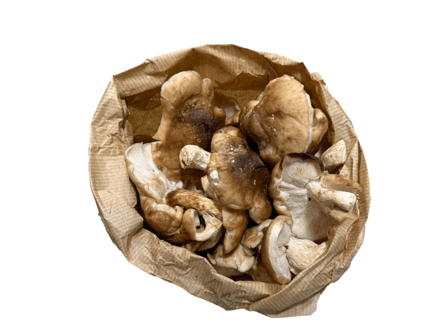 Shiitake per kilo