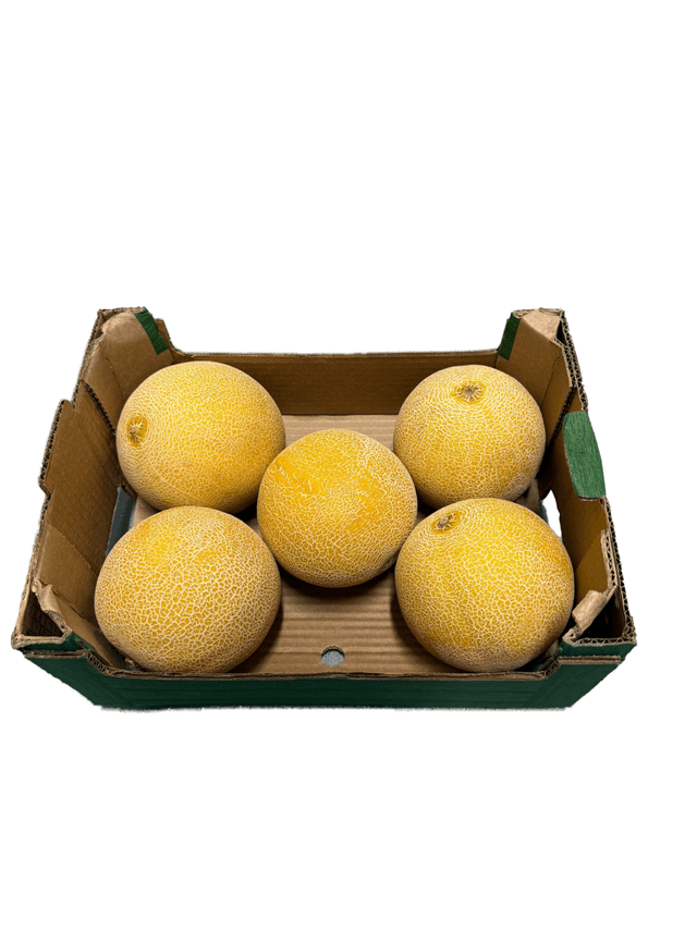 Galia meloen per doos 6 stuks