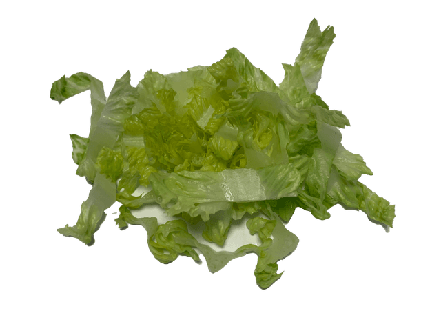 Romaine sla gewassen gesn per kg