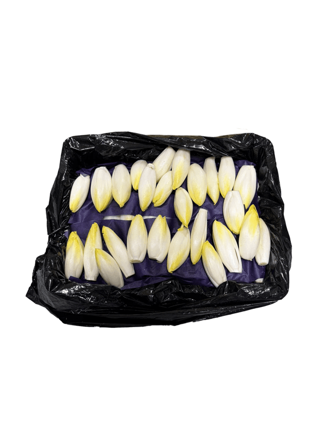 Witlof kort per kist (maat9-12)