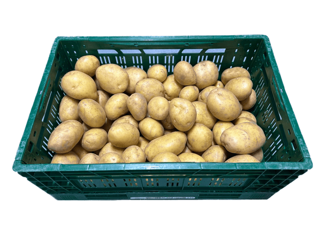 Gewassen bonken per kist (20 kg)