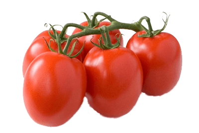Pomodori tomaat per kist 5 kilo