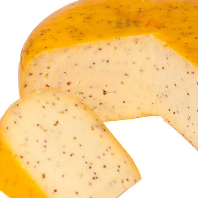 Mosterd kaas per kilo