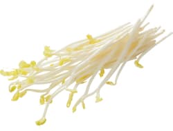 Asperge scheut per bakje 100 gram