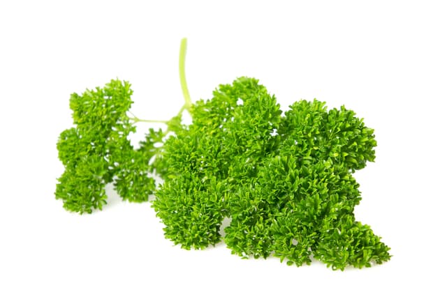 Krul peterselie per bos (75 gram)