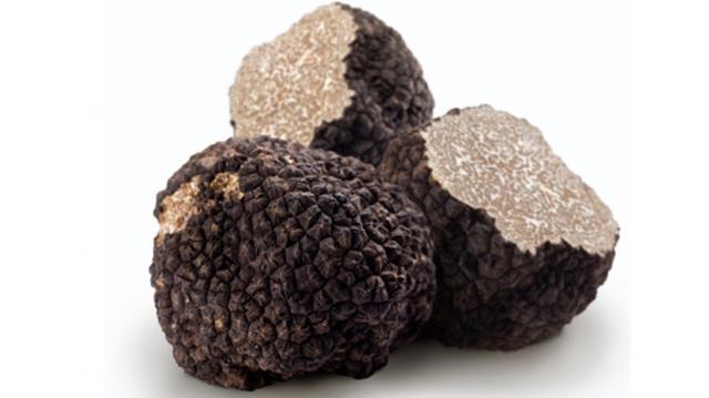 Zomertruffels per kilo